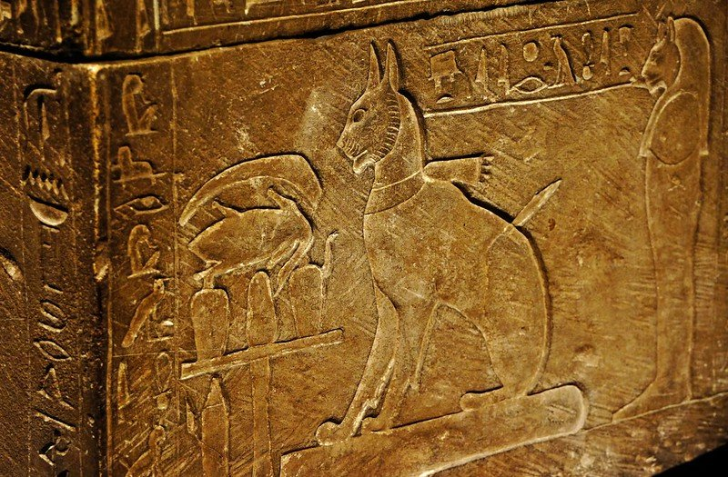 Why did the ancient Egyptians worship cats?