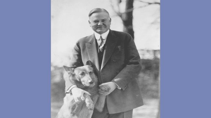 Presidential Dogs and the Public Life of the White House