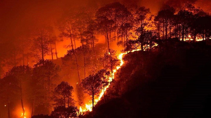 Why the World’s Largest Wildfires Are Hard to Rank