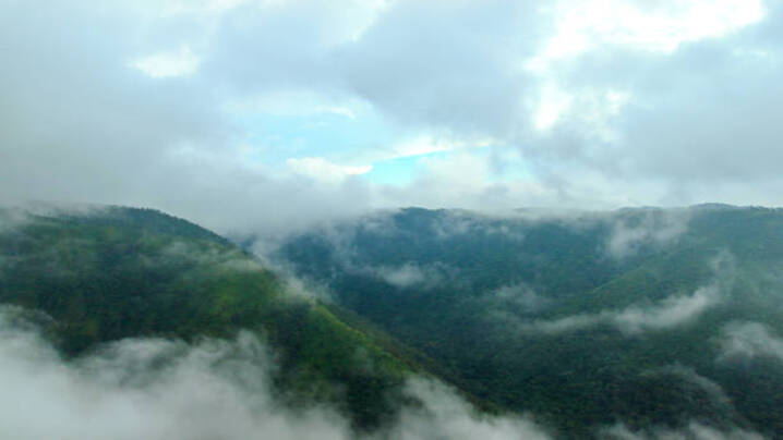 Exploring Nature's Marvels: The Top 5 Rainiest Places on Earth